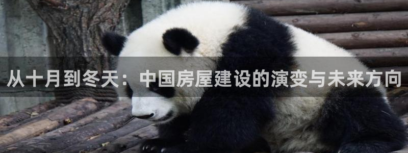 威九国际app网站安全吗：从十月到冬天：中国房屋建设的演变与未来方向