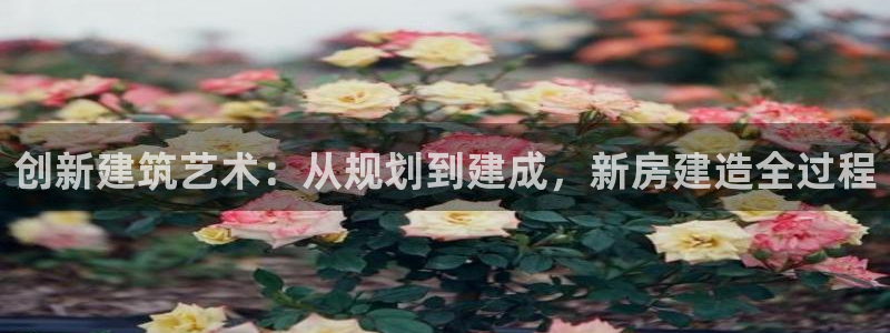威九国际最新网站：创新建筑艺术：从规划到建成，新房建造全过程