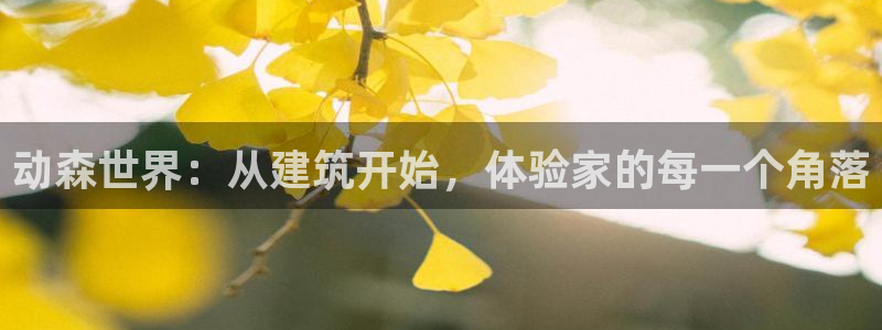 威九国际app客服电话：动森世界：从建筑开始，体验家的每一个角落