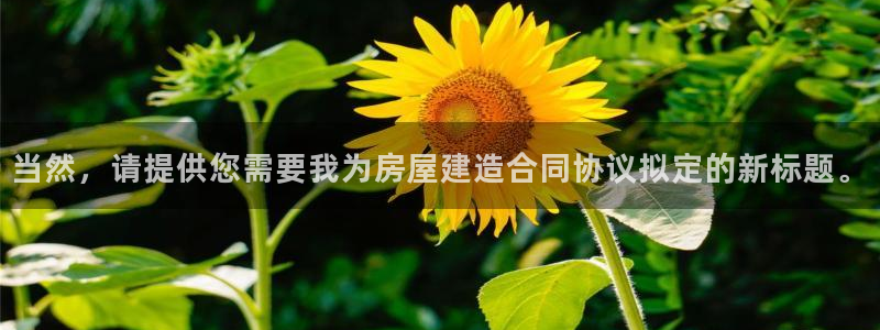 威九国际78m78：当然，请提供您需要我为房屋建造合同协议拟定的新标题。