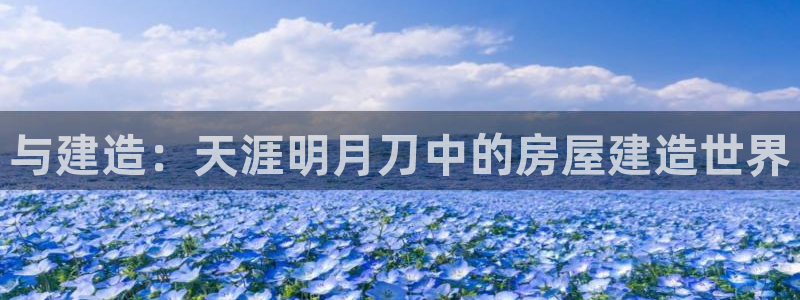威九国际网站入口地址在哪里：与建造：天涯明月刀中的房屋建造世界