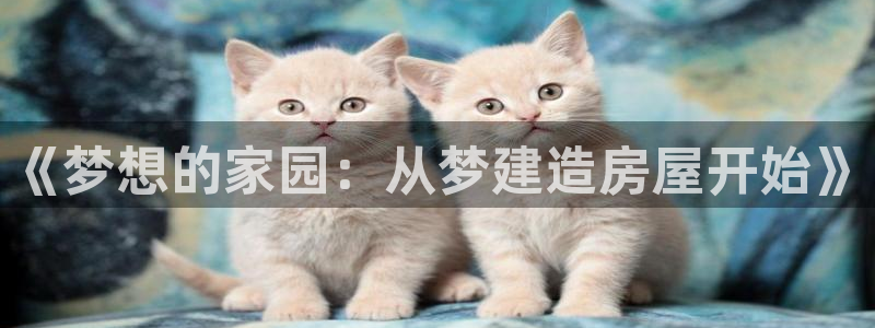 威九国际78mb42：《梦想的家园：从梦建造房屋开始》