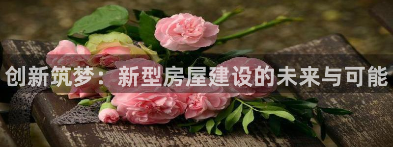 威九国际网站进入产品中心怎么进：创新筑梦：新型房屋建设的未来与可能