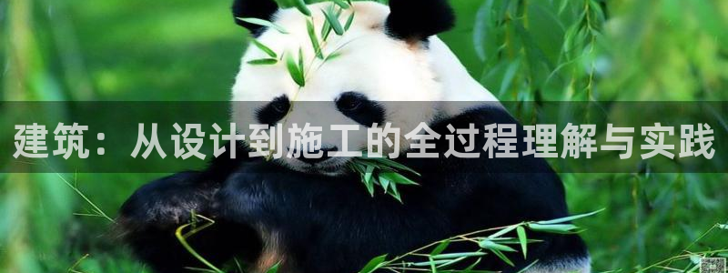 威九国际游戏网站：建筑：从设计到施工的全过程理解与实践