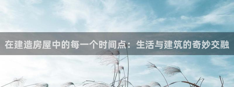 威九国际网站游戏：在建造房屋中的每一个时间点：生活与建筑的奇妙交融