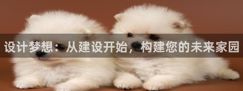 78mapp威九国际神曲口服液：设计梦想：从建设开始，构建您的未来家园