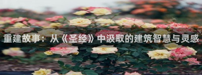 威九国际瘫痪丈夫眼见证：重建故事：从《圣经》中汲取的建筑智慧与灵感