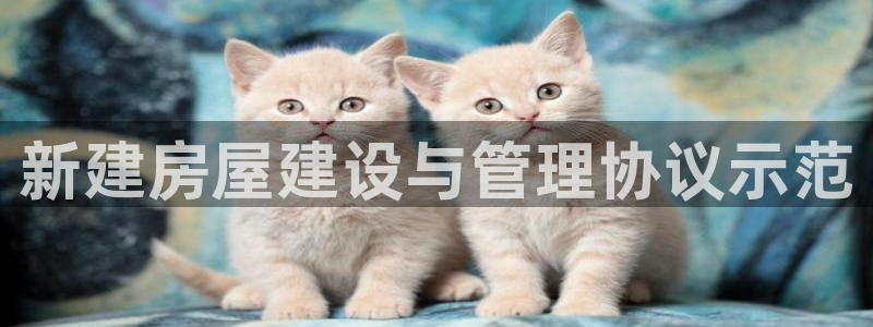 威九国际78cm：新建房屋建设与管理协议示范