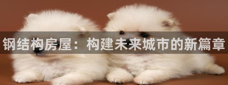威九国际top：钢结构房屋：构建未来城市的新篇章