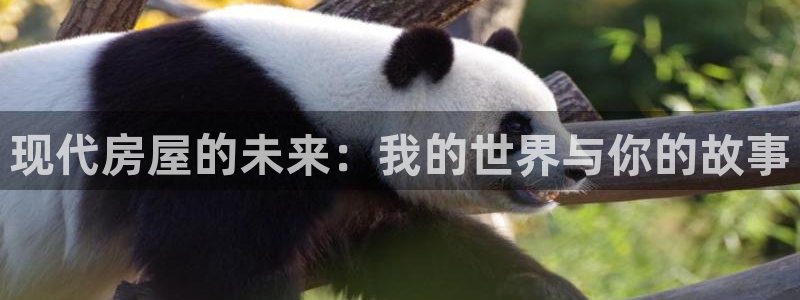 威九国际78mb特点：现代房屋的未来：我的世界与你的故事