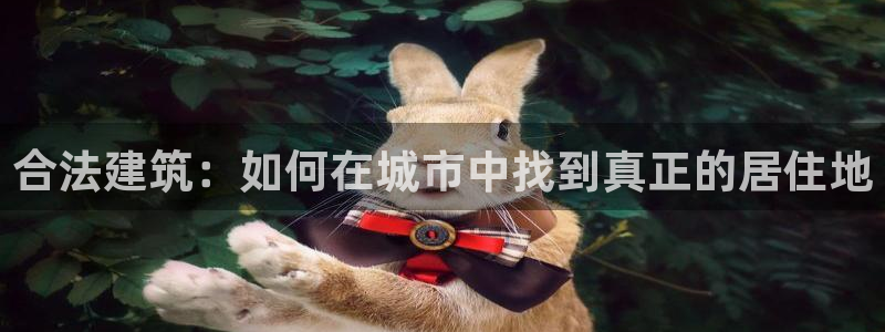 威九国际网站链接：合法建筑：如何在城市中找到真正的居住地