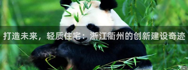 威九国际入口一：打造未来，轻质住宅：浙江衢州的创新建设奇迹