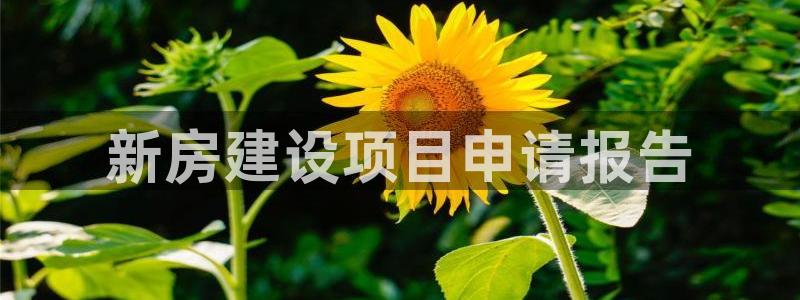 78mapp威九国际神曲口服液
