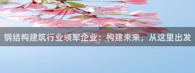 威九国际v96242cc官网版：钢结构建筑行业领军企业：构建未来，从这里出发
