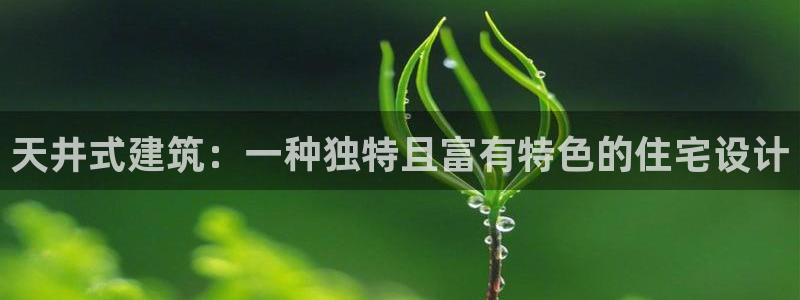威九国际网站官网：天井式建筑：一种独特且富有特色的住宅设计