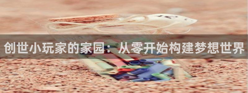 威九国际Info：创世小玩家的家园：从零开始构建梦想世界
