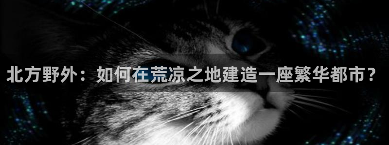 威九国际top：北方野外：如何在荒凉之地建造一座繁华都市？
