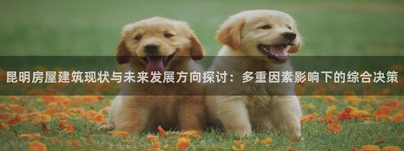 威九国际空降视频：昆明房屋建筑现状与未来发展方向探讨：多重因素影响下的综合决策