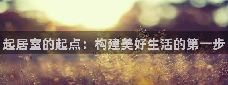 威九国际官网登录入口下载：起居室的起点：构建美好生活的第一步