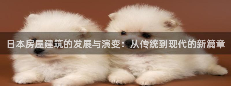 威九国际男主：日本房屋建筑的发展与演变：从传统到现代的新篇章